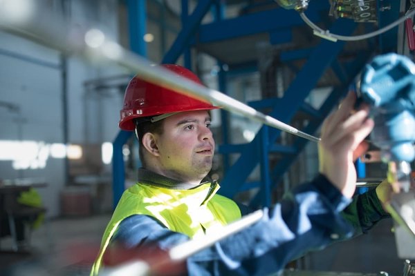 What's the Correct Technique for Introducing a Puppy to a Resident Senior Dog?