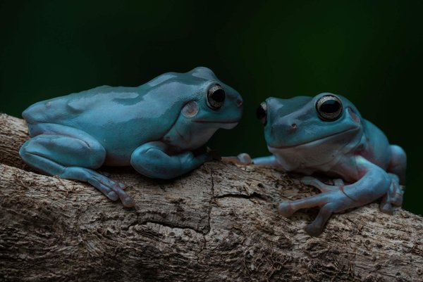 Can You Mix a Checkered Shirt with a Pinstripe Suit for a Bold Office Outfit?